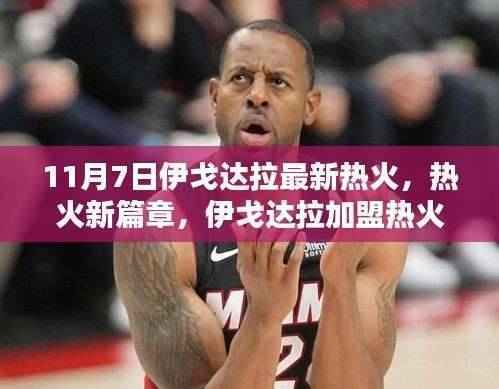 伊戈达拉加盟热火指南,11月7日新篇章,详细步骤适用于初学者与进阶用户