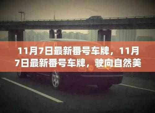 11月7日最新番号车牌,11月7日最新番号车牌,驶向自然美景的心灵之旅