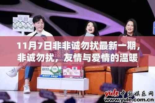 非诚勿扰最新一期日常故事,友情与爱情的温暖邂逅