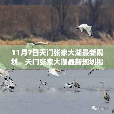 天门张家大湖未来蓝图揭秘,最新规划与可持续发展展望