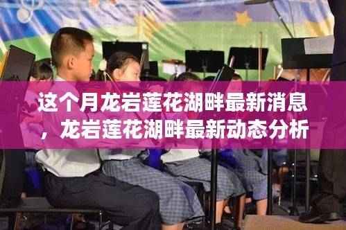 龙岩莲花湖畔最新动态揭秘,本月消息与观点聚焦