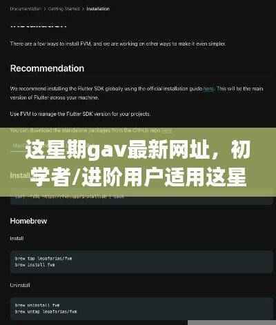 Gav最新网址访问指南，适合初学者与进阶用户的详细步骤指南