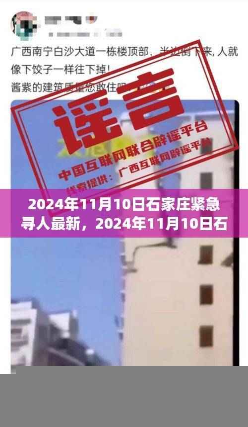 深度解析,石家庄紧急寻人事件背景与寻找过程进展
