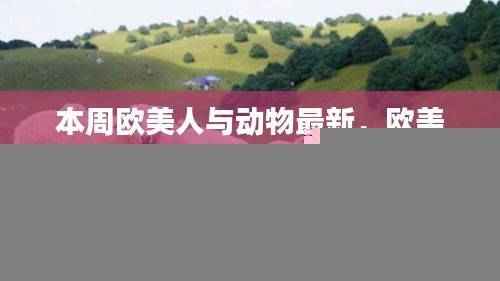 欧美人与动物奇妙之旅，本周自然美景探索与心灵宁静的追寻