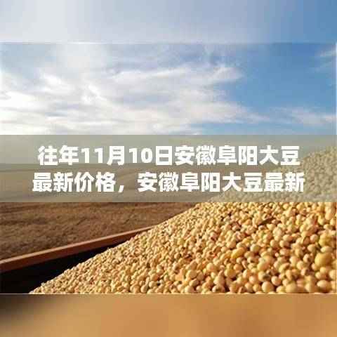 安徽阜阳历年11月10日大豆最新价格回顾与波动分析