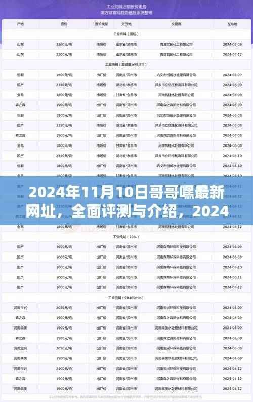 独家评测,揭秘哥哥嘿最新网址特性与极致体验