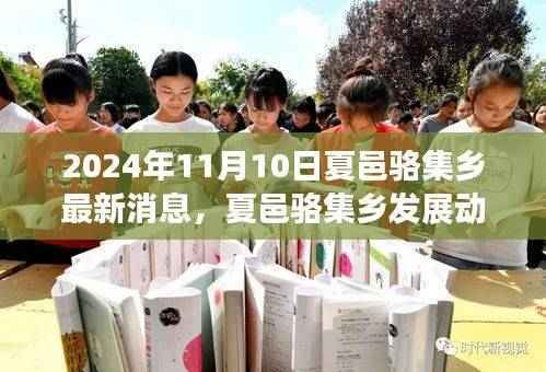 XXXX年夏邑骆集乡最新发展动态深度解读与观点探讨,以未来视角看夏邑骆集乡的蜕变之路