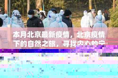 北京疫情下的自然探索,内心宁静与力量的追寻