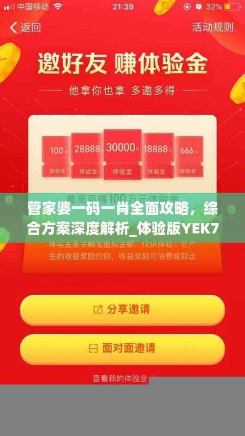 管家婆一码一肖全面攻略,综合方案深度解析_体验版YEK788.38