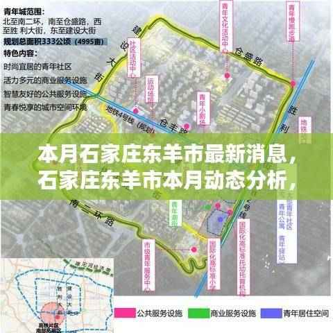 石家庄东羊市本月动态解析,最新消息与观点阐述及其影响探讨