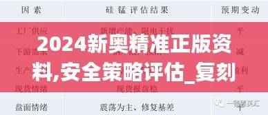 2024新奥精准正版资料,安全策略评估_复刻版EHG550.45