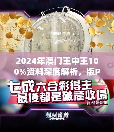 2024年澳门王中王100%资料深度解析,版PKB933.37精华汇总