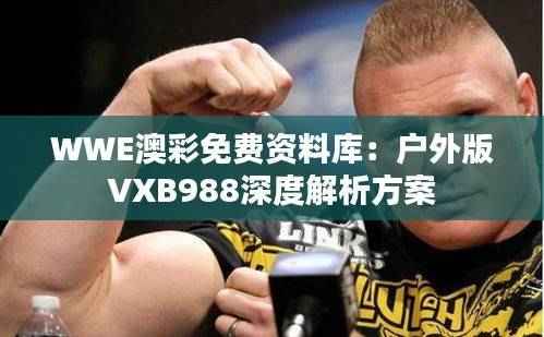 WWE澳彩免费资料库:户外版VXB988深度解析方案