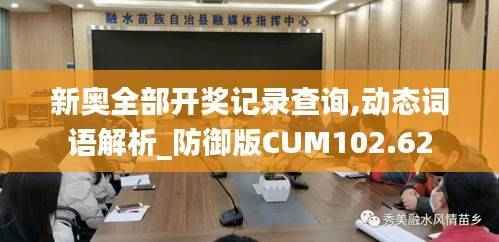 新奥全部开奖记录查询,动态词语解析_防御版CUM102.62