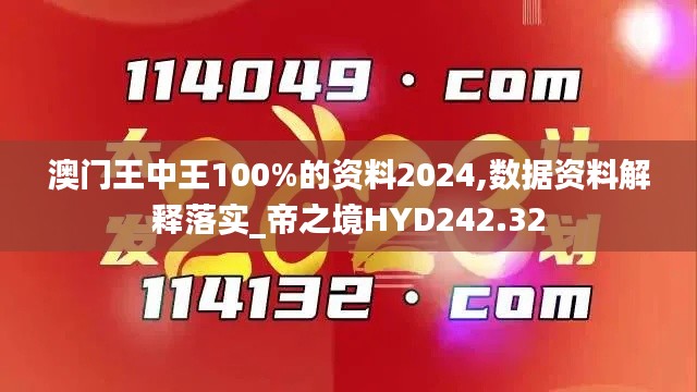 澳门王中王100%的资料2024,数据资料解释落实_帝之境HYD242.32