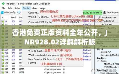 香港免费正版资料全年公开,JNR928.02详解解析版