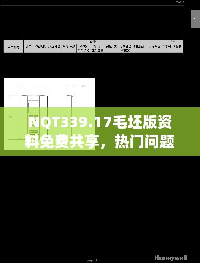 NQT339.17毛坯版资料免费共享,热门问题解答一览