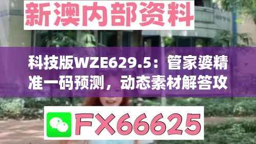 科技版WZE629.5:管家婆精准一码预测,动态素材解答攻略