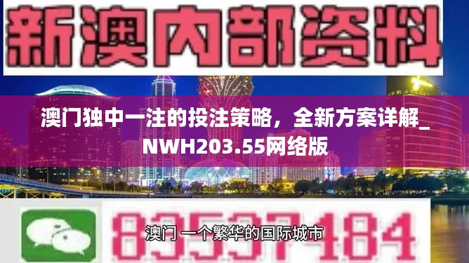 澳门独中一注的投注策略,全新方案详解_NWH203.55网络版