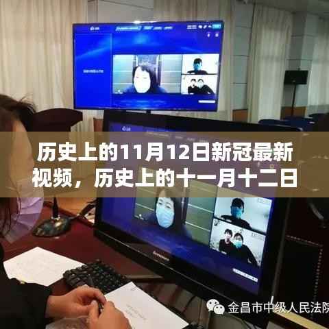 历史上的11月12日新冠最新视频回眸,十一月十二日的记忆与进展
