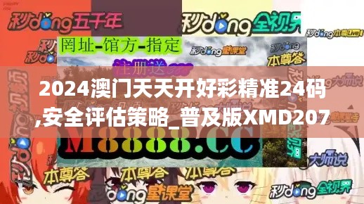 2024澳门天天开好彩精准24码,安全评估策略_普及版XMD207.94