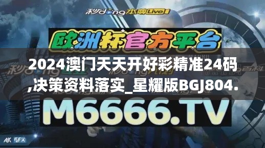 2024澳门天天开好彩精准24码,决策资料落实_星耀版BGJ804.57