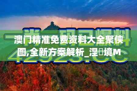 澳门精准免费资料大全聚侠图,全新方案解析_涅槃境MZW961.73