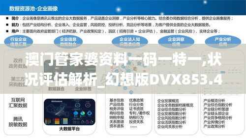 澳门管家婆资料一码一特一,状况评估解析_幻想版DVX853.4