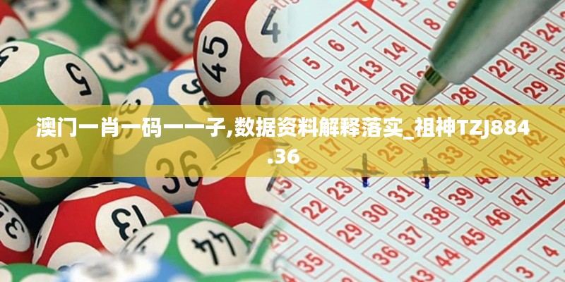 澳门一肖一码一一子,数据资料解释落实_祖神TZJ884.36