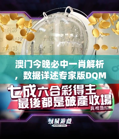 澳门今晚必中一肖解析,数据详述专家版DQM951.48