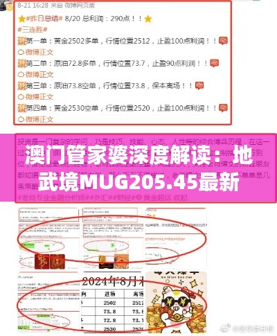 澳门管家婆深度解读:地武境MUG205.45最新亮点