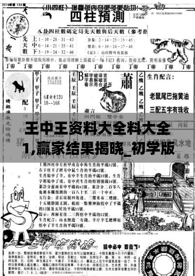 王中王资料大全料大全1,赢家结果揭晓_初学版JCI740.74
