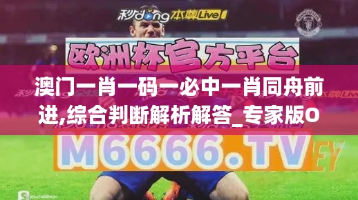 澳门一肖一码一必中一肖同舟前进,综合判断解析解答_专家版OQV120.94