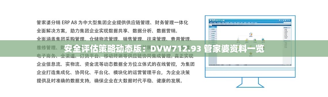 安全评估策略动态版:DVW712.93 管家婆资料一览