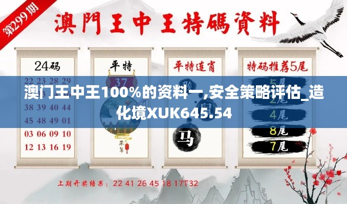 澳门王中王100%的资料一,安全策略评估_造化境XUK645.54