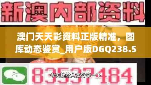 澳门天天彩资料正版精准,图库动态鉴赏_用户版DGQ238.58