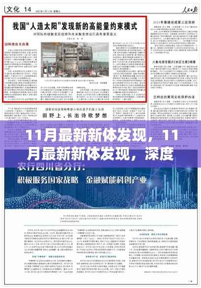 11月最新新体发现,深度解析与观点阐述