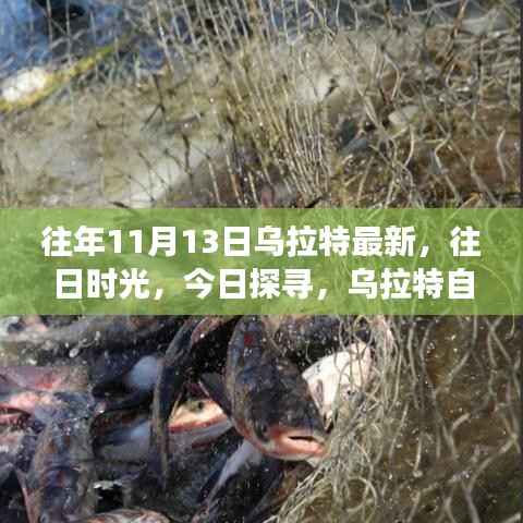 乌拉特自然美景之旅，往日时光与今日探寻的交汇点