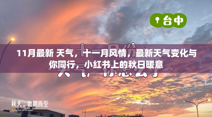 小红书上的秋日暖意,最新十一月天气变化与风情同行