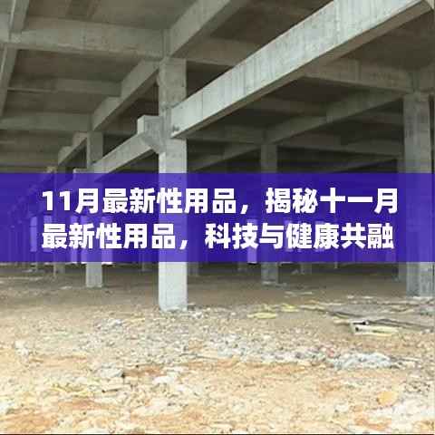 揭秘十一月最新科技性用品,健康与亲密生活的完美结合