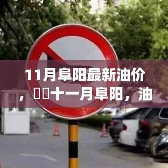 11月阜阳油价调整,启程自然美景之旅,探寻内心平静的力量