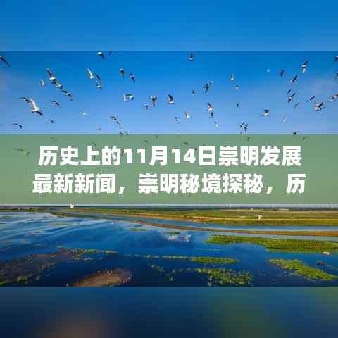 历史上的11月14日,崇明发展最新新闻揭秘,自然美景下的探秘之旅