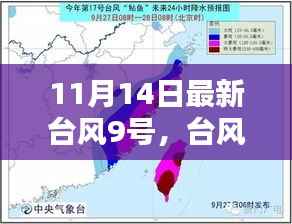 台风警报,最新台风9号即将来袭,做好准备应对挑战