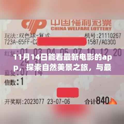 探索自然美景与最新电影相伴,11月最佳观影APP体验之旅