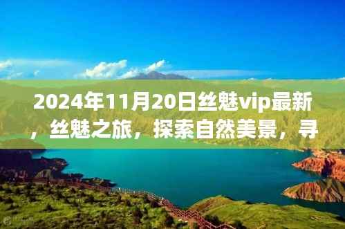 丝魅之旅,探索自然美景,寻找内心平静的新篇章(2024年11月20日最新资讯)
