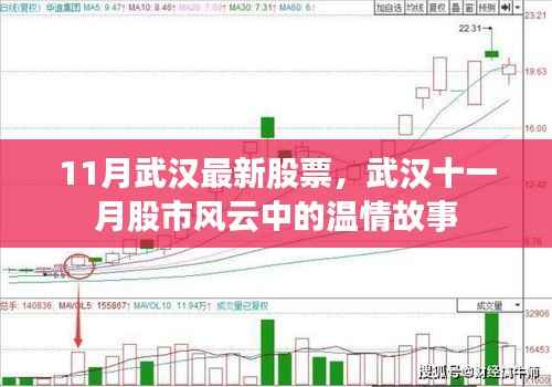 武汉十一月股市风云中的温情故事与最新股票动态