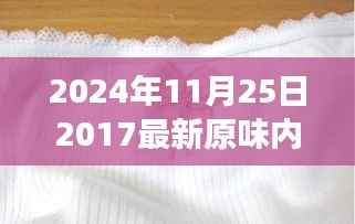 一条原味内裤的奇妙旅程,探索温馨日常的最新时尚(2024年11月25日)