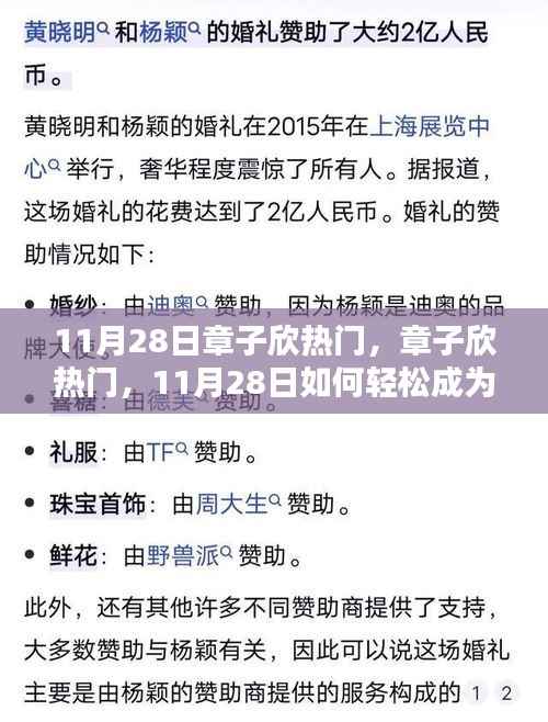 11月28日章子欣热门话题揭秘，轻松成为话题焦点，初学者与进阶用户指南