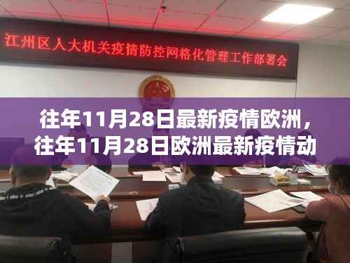 往年11月28日欧洲疫情最新动态及分析