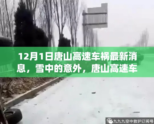 唐山高速车祸，雪中意外引发深思，追寻内心宁静之旅